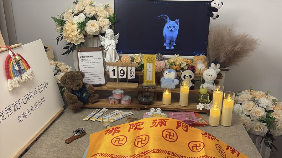 告别前的最后合影