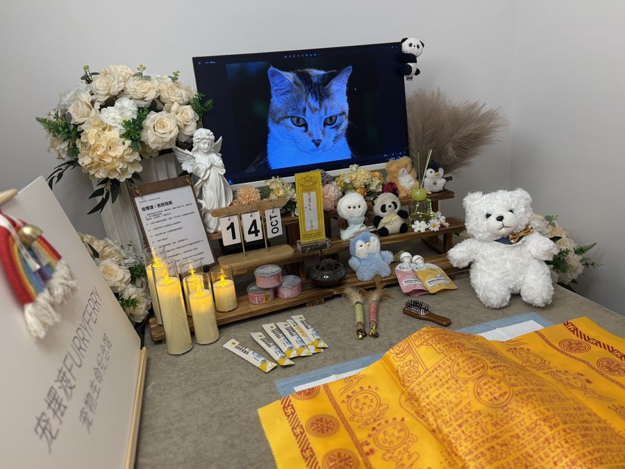 宠物告别仪式参考：广州版流程单与准备清单